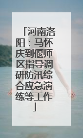 河南洛阳：马怀庆到偃师区指导调研防汛综合应急演练等工作