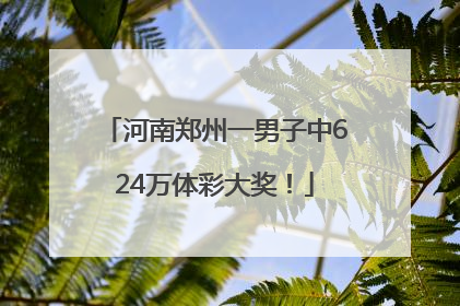 河南郑州一男子中624万体彩大奖！