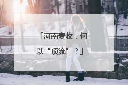 河南麦收，何以“顶流”？
