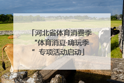 河北省体育消费季“体育消夏·嗨玩季”专项活动启动
