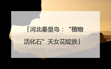 河北秦皇岛：“植物活化石”天女花绽放