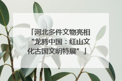 河北多件文物亮相“龙腾中国：红山文化古国文明特展”