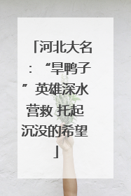 河北大名：“旱鸭子”英雄深水营救 托起沉没的希望