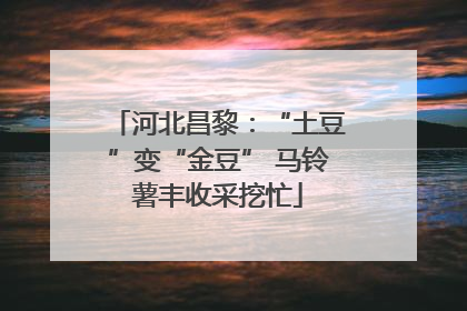 河北昌黎：“土豆”变“金豆” 马铃薯丰收采挖忙