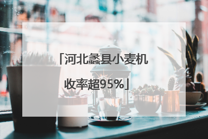 河北蠡县小麦机收率超95%