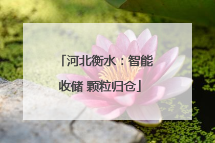 河北衡水：智能收储 颗粒归仓