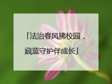 法治春风拂校园，藏蓝守护伴成长