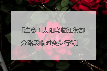 注意！太阳岛临江街部分路段临时变步行街