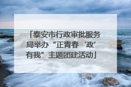 泰安市行政审批服务局举办“正青春‘政’有我”主题团建活动