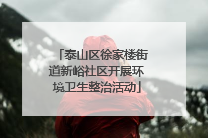 泰山区徐家楼街道新峪社区开展环境卫生整治活动