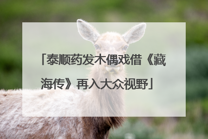 泰顺药发木偶戏借《藏海传》再入大众视野