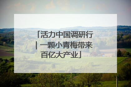 活力中国调研行｜一颗小青梅带来百亿大产业