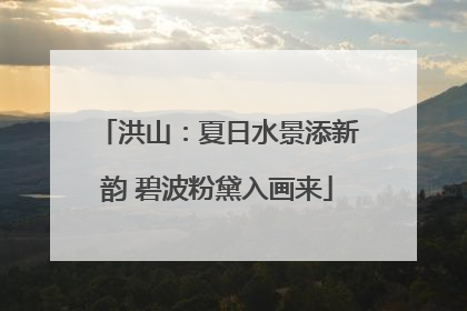 洪山：夏日水景添新韵 碧波粉黛入画来