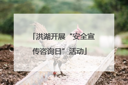 洪湖开展“安全宣传咨询日”活动