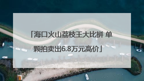 海口火山荔枝王大比拼 单颗拍卖出6.8万元高价