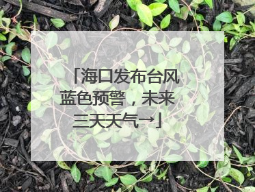 海口发布台风蓝色预警，未来三天天气→