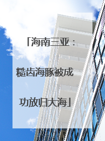 海南三亚：糙齿海豚被成功放归大海