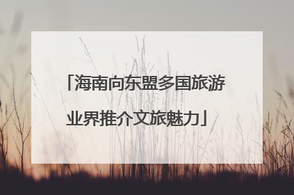 海南向东盟多国旅游业界推介文旅魅力