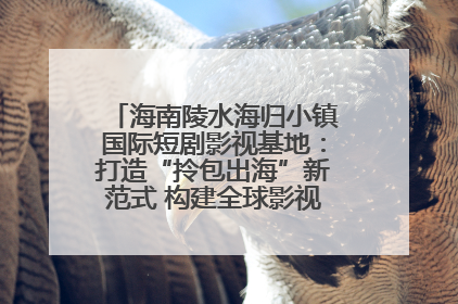 海南陵水海归小镇国际短剧影视基地：打造“拎包出海”新范式 构建全球影视产业“新热土”
