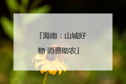 海南：山城好物 消费助农