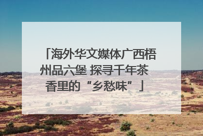 海外华文媒体广西梧州品六堡 探寻千年茶香里的“乡愁味”