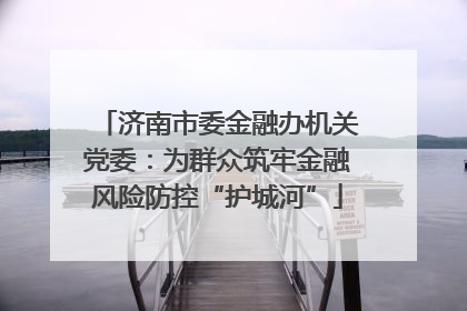 济南市委金融办机关党委：为群众筑牢金融风险防控“护城河”