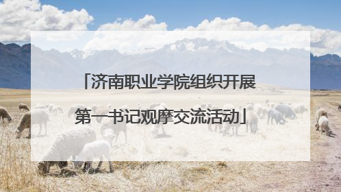 济南职业学院组织开展第一书记观摩交流活动