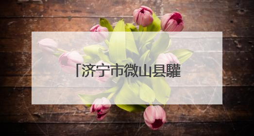 济宁市微山县驩城镇举办庆祝中国共产党成立104周年系列活动