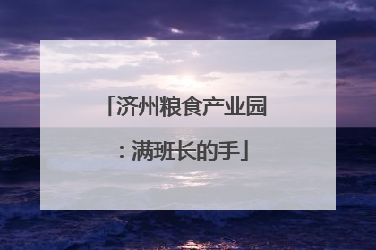 济州粮食产业园：满班长的手