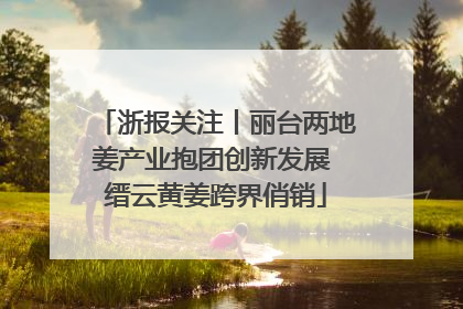 浙报关注丨丽台两地姜产业抱团创新发展 缙云黄姜跨界俏销