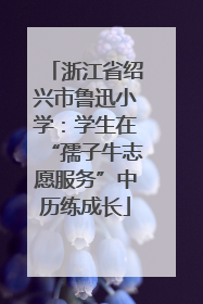 浙江省绍兴市鲁迅小学：学生在“孺子牛志愿服务”中历练成长