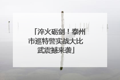 淬火砺剑！泰州市巡特警实战大比武震撼来袭