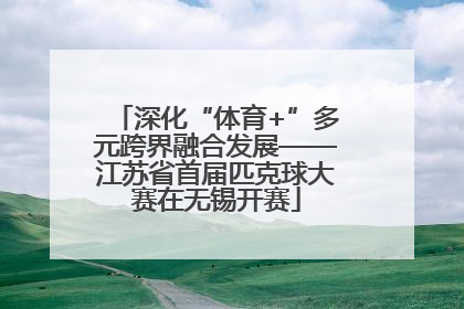 深化“体育+”多元跨界融合发展——江苏省首届匹克球大赛在无锡开赛