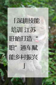 深耕技能培训 江苏盱眙打造“职”通车赋能乡村振兴