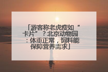 游客称老虎瘦如“卡片”？北京动物园：体重正常，饲料能保障营养需求