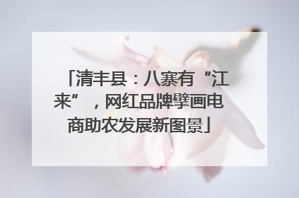 清丰县：八寨有“江来”，网红品牌擘画电商助农发展新图景