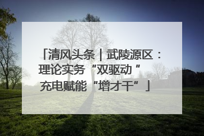 清风头条｜武陵源区：理论实务“双驱动 ” 充电赋能“增才干”
