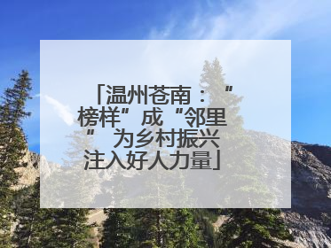 温州苍南：“榜样”成“邻里” 为乡村振兴注入好人力量