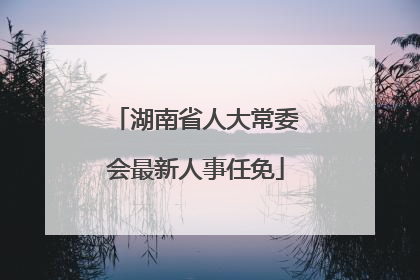 湖南省人大常委会最新人事任免