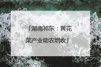 湖南祁东：黄花菜产业助农增收