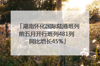 湖南怀化国际陆港班列前五月开行班列481列 同比增长45%