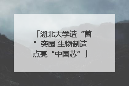 湖北大学造“菌”突围 生物制造点亮“中国芯”