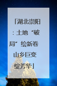 湖北崇阳：土地“破局”绘新卷 山乡巨变绽芳华