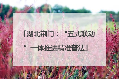 湖北荆门：“五式联动”一体推进精准普法