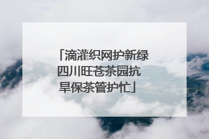 滴灌织网护新绿 四川旺苍茶园抗旱保茶管护忙