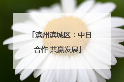 滨州滨城区：中日合作 共赢发展