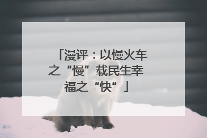 漫评：以慢火车之“慢”载民生幸福之“快”