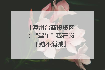 漳州台商投资区：“端午”我在岗 干劲不消减