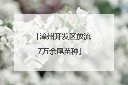 漳州开发区放流7万余尾苗种