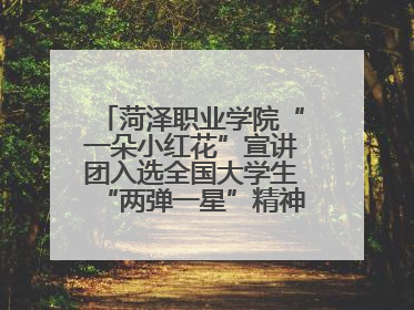 菏泽职业学院“一朵小红花”宣讲团入选全国大学生“两弹一星”精神宣讲团